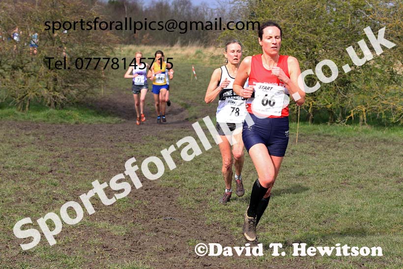 Womens and Mens 65+ in the 2023 BMAF Cross Country Champs., Wallsend. Photo: David T. Hewitson/Sports for All Pics